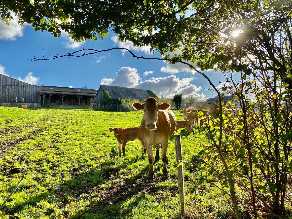 Greener Pastures - Normandy Self Catering Gites La Chapelle-Engerbold Екстер'єр фото